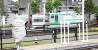 ミニ運転列車ミニ両国橋駅