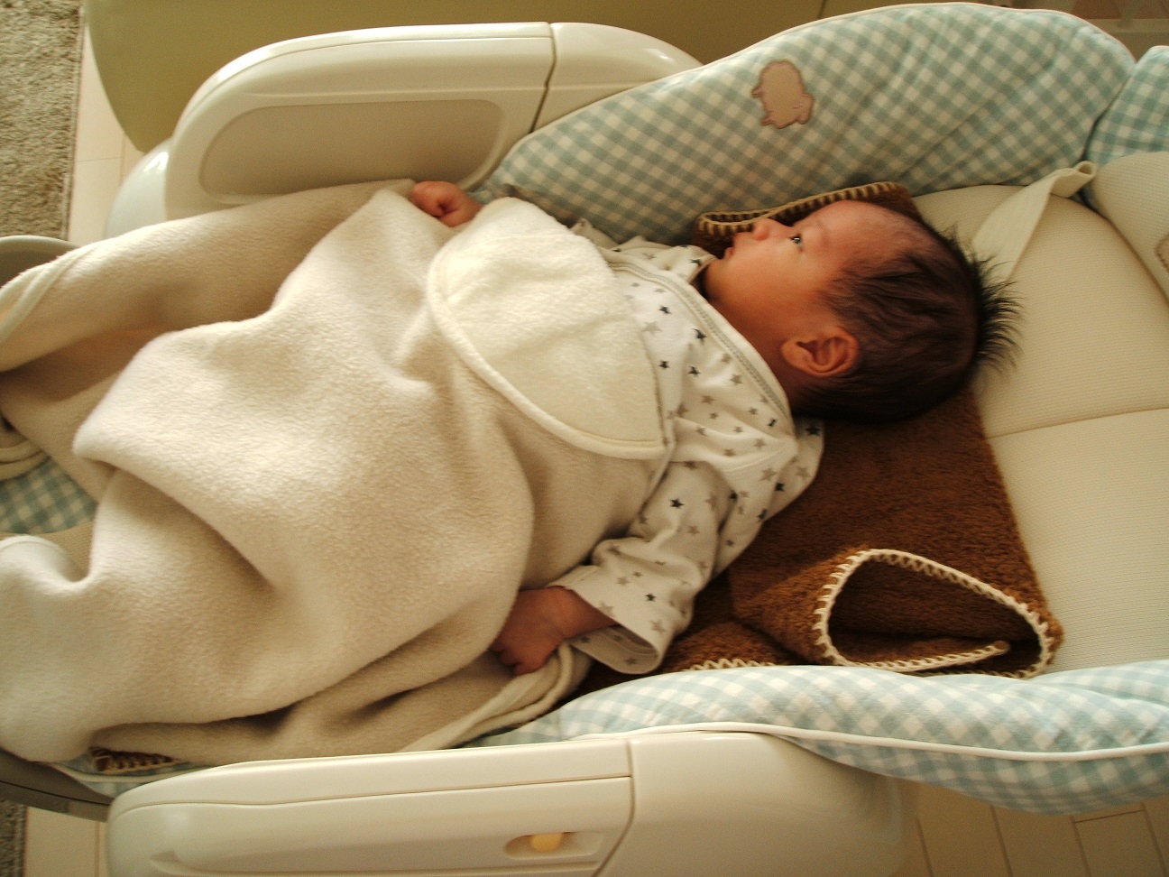 コンビ エコアクト ルシエス AUTO SWING