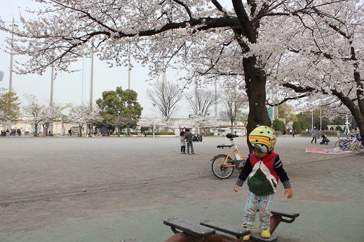 等々力緑地広場グランド