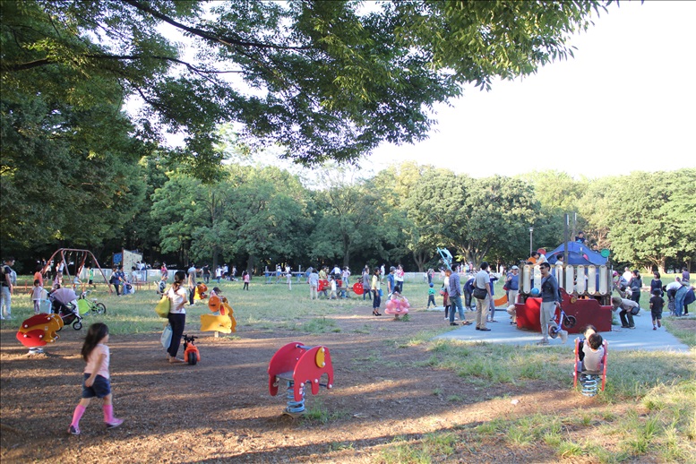 アスレチック広場の遊具コーナー