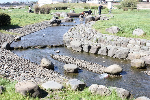 兵庫島公園人口小川②