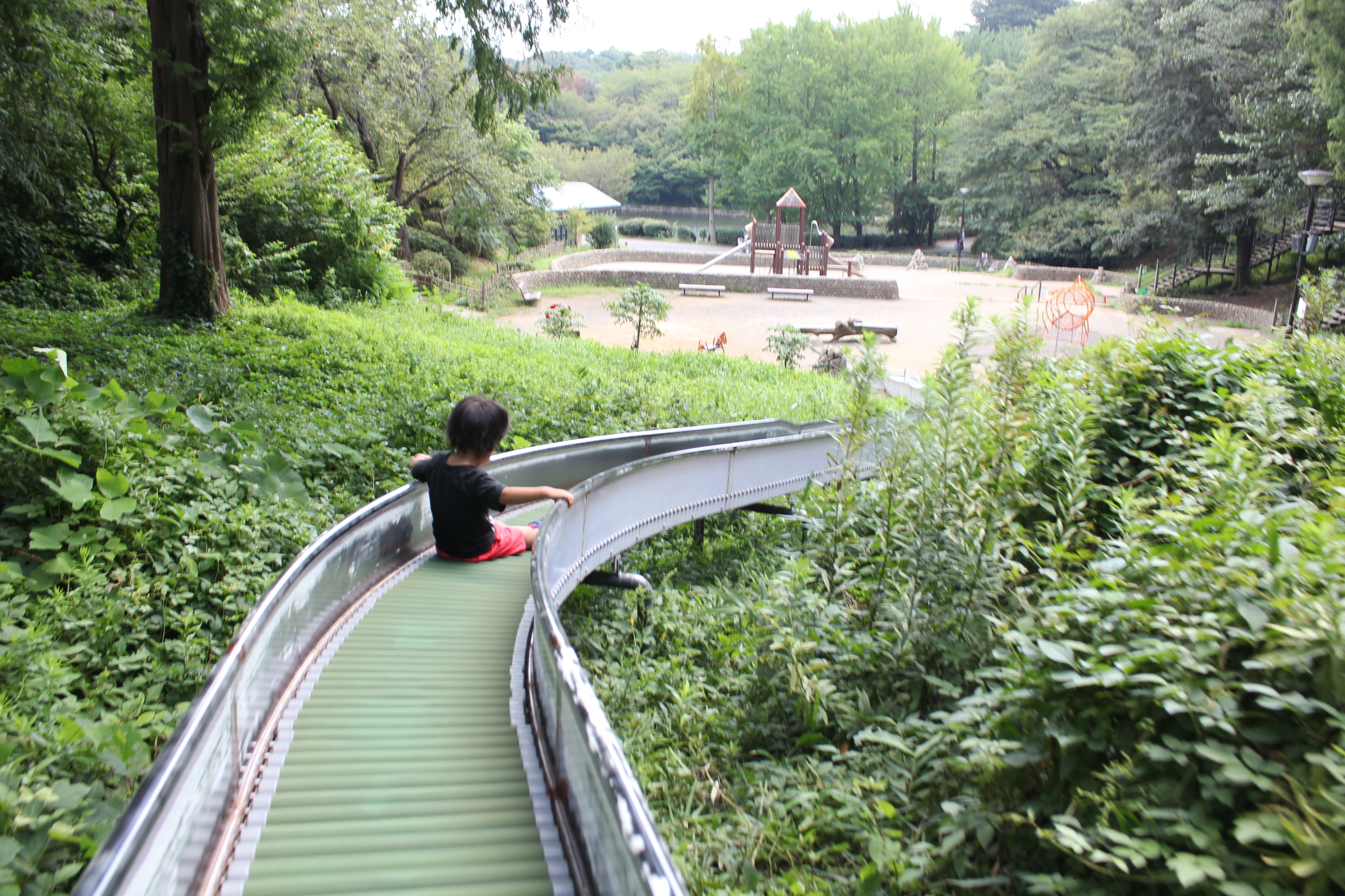 三ツ池公園-ロングローラー滑り台２