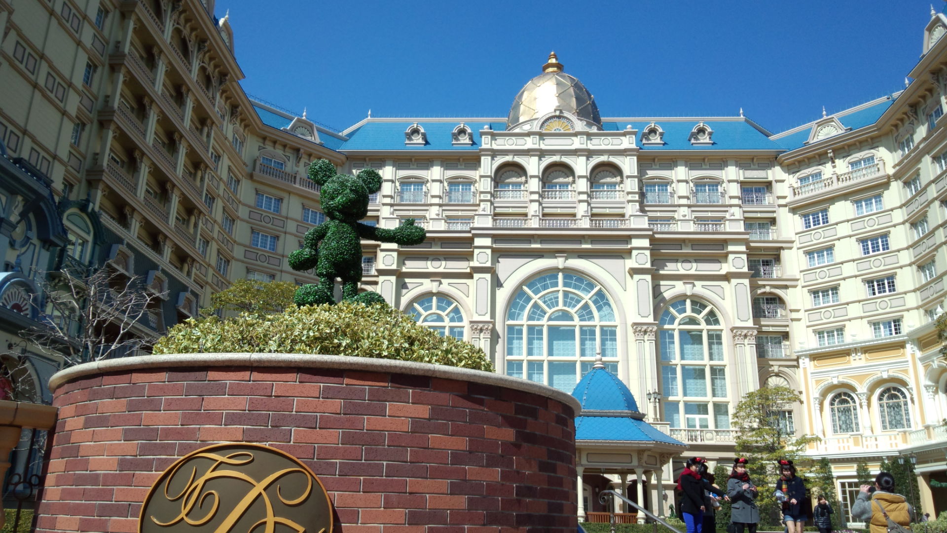 ミッキーマウス植木