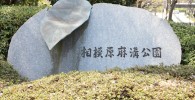 相模原麻溝公園と書かれている石