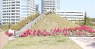 富士見台の小山。バックにニコタマのマンションが写っています。