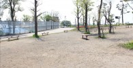 みどりの遊び場ベンチと広場