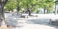 野球場前の広場の樹林とベンチ
