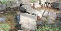 池泉の石の橋を渡る