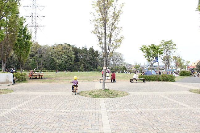玄海田公園広場の様子