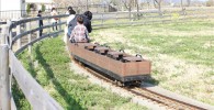 ファミリーを乗せたミニトレインが広場のレールを走行しています。