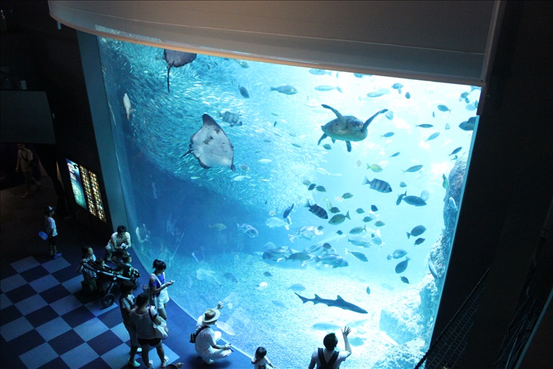 巨大水槽を上から撮影