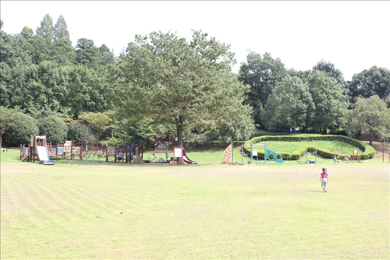 芝生の広場と奥に見える遊具