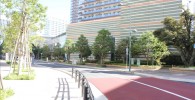 グランツリーから東急武蔵小杉駅に通じる道路