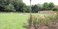 バラ園の芝生の広場