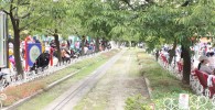 ミニ鉄道の遊具広場横を走る線路