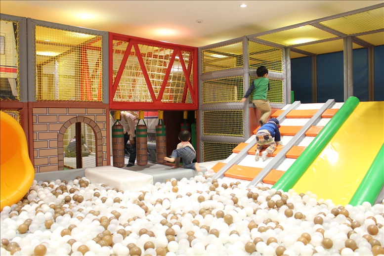 アスレチックのボールプールとレールのハシゴ