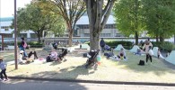 公園の芝生でくつろぐ家族の様子
