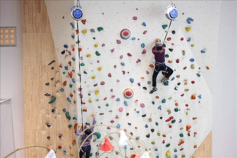 巨大なクライミングウォール