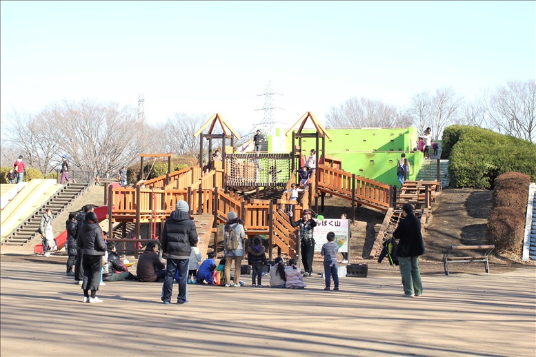 わんぱく山のアスレチック遊具