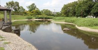 川の様に広がる公園の池