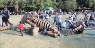 恐竜の骨のオブジェの様な遊具