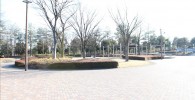 中央広場の全体写真（御勅使南公園）