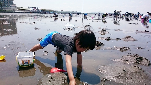 金田海岸で潮干狩り初体験のこども