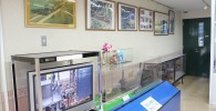 展示室脇の展示コーナー