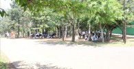 木々に囲まれた潮風公園ＢＢＱ場所