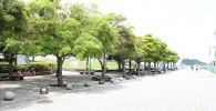 海風公園の遊歩道