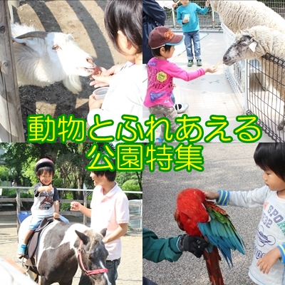 動物と触れ合える公園特集