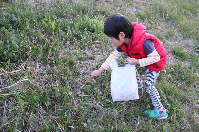 3月のつくし採り